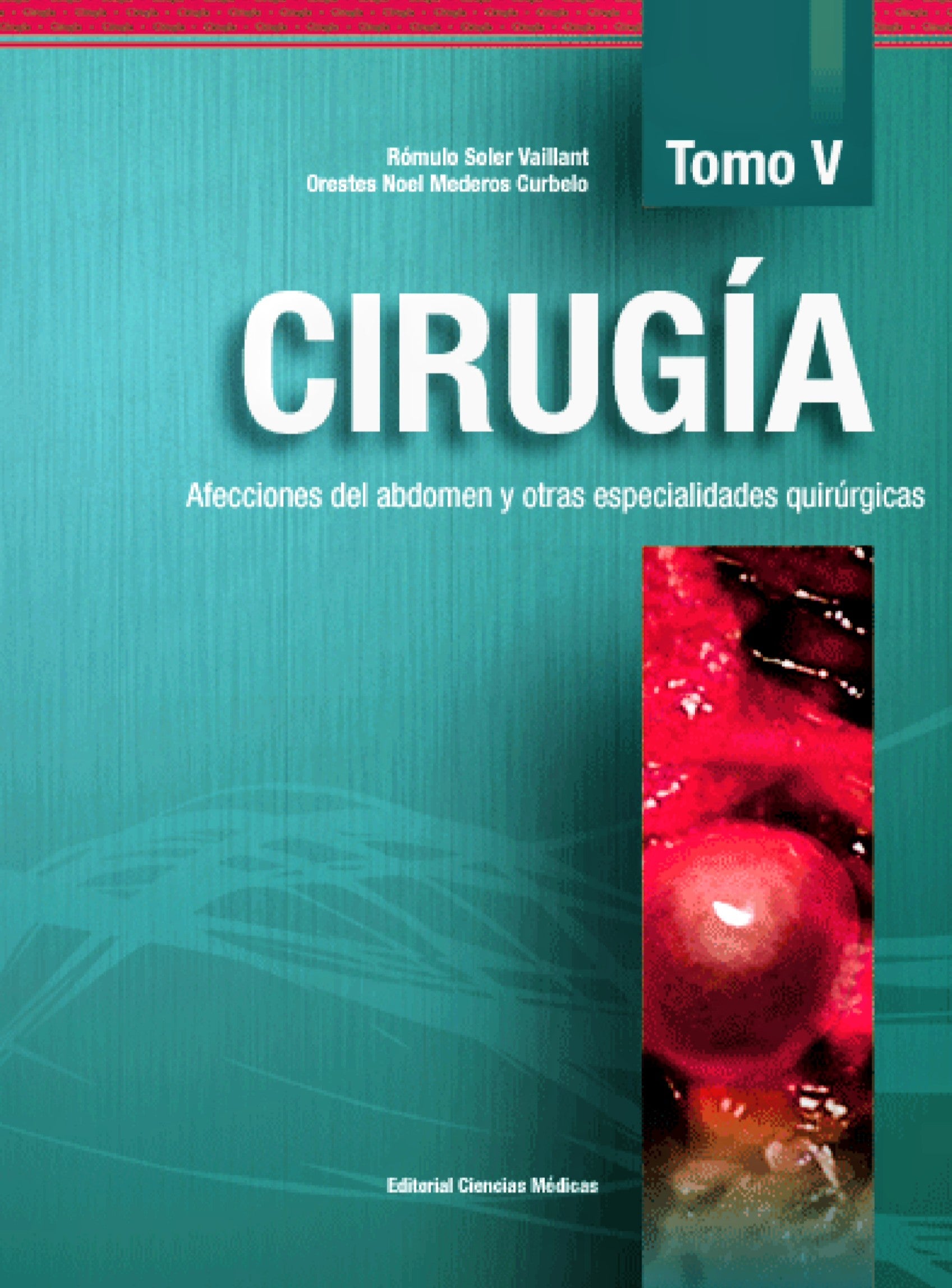 📘 Volume V – Abdominal Wall and Soft Tissue Surgery
Key Features